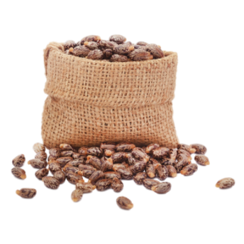 castor-beans
